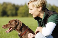 Tierisch bewegt -  Tierärztliche Praxis für Osteopathie & Physiotherapie